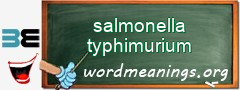WordMeaning blackboard for salmonella typhimurium